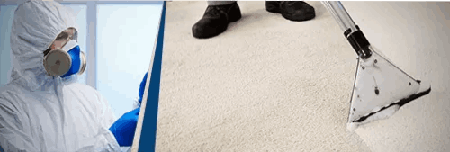 Carpet Dyeing Service